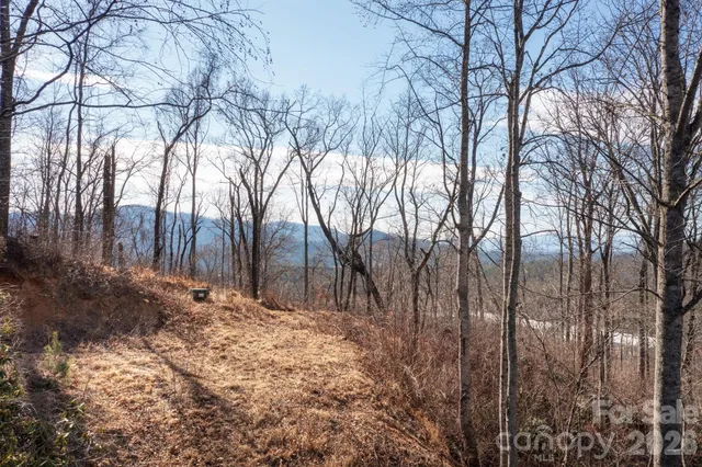 a backyard of a house with large trees
