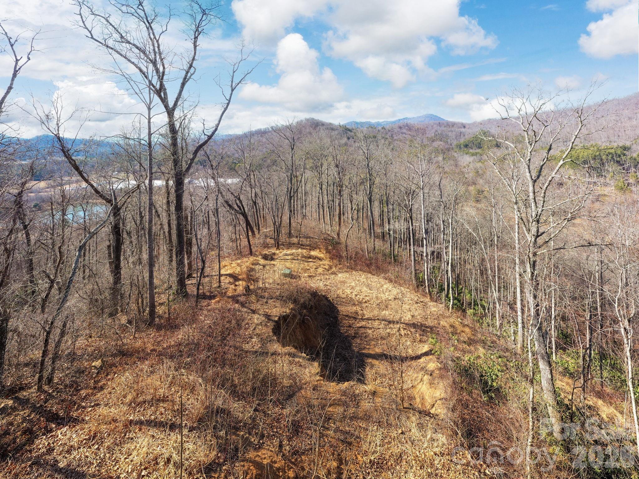 0 Bee Tree Road, Unit 103B Swannanoa, NC 28778 - Photo 6 of 20 a view of outdoor space and yard