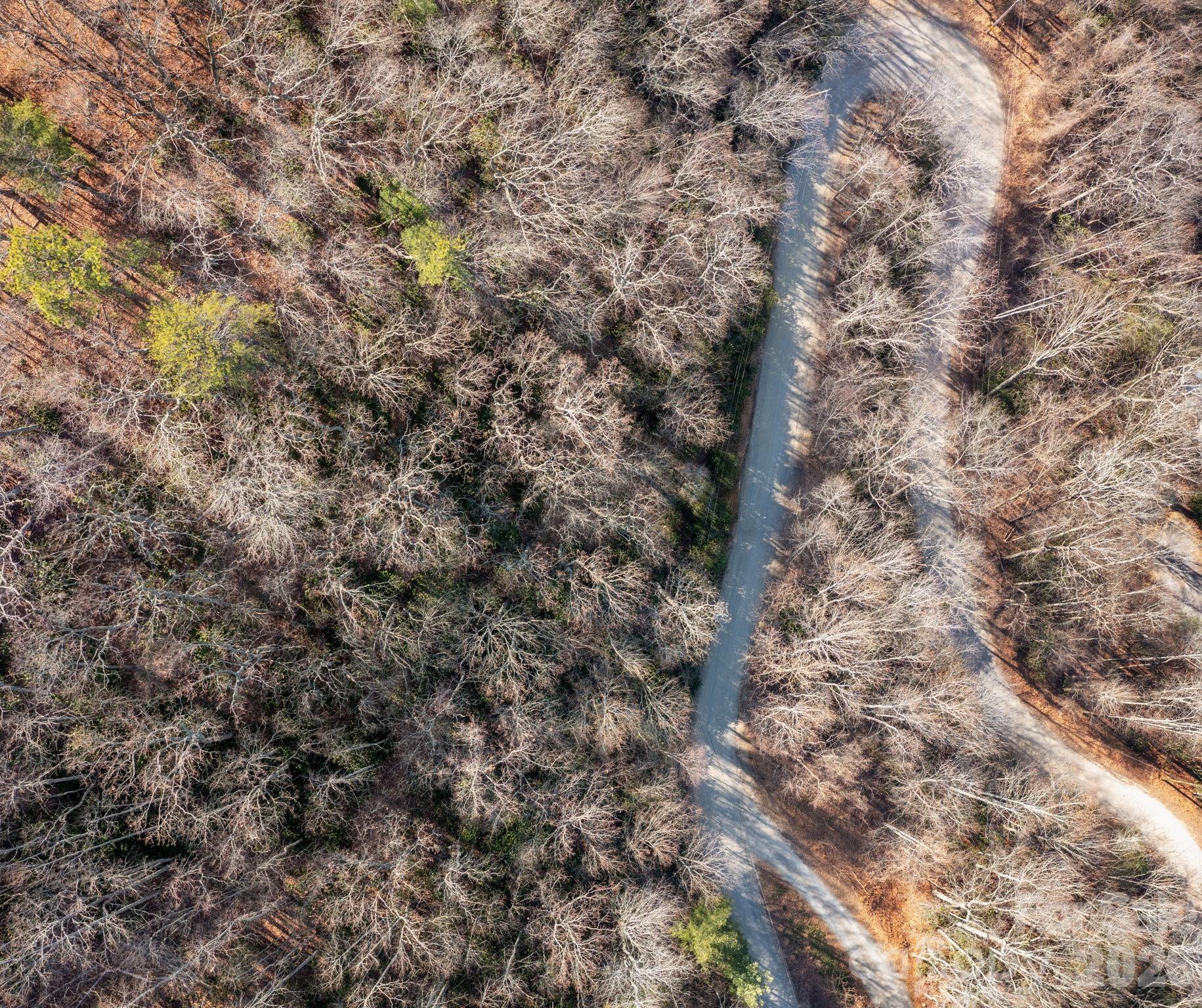 0 Bee Tree Road, Unit 103B Swannanoa, NC 28778 - Photo 8 of 20