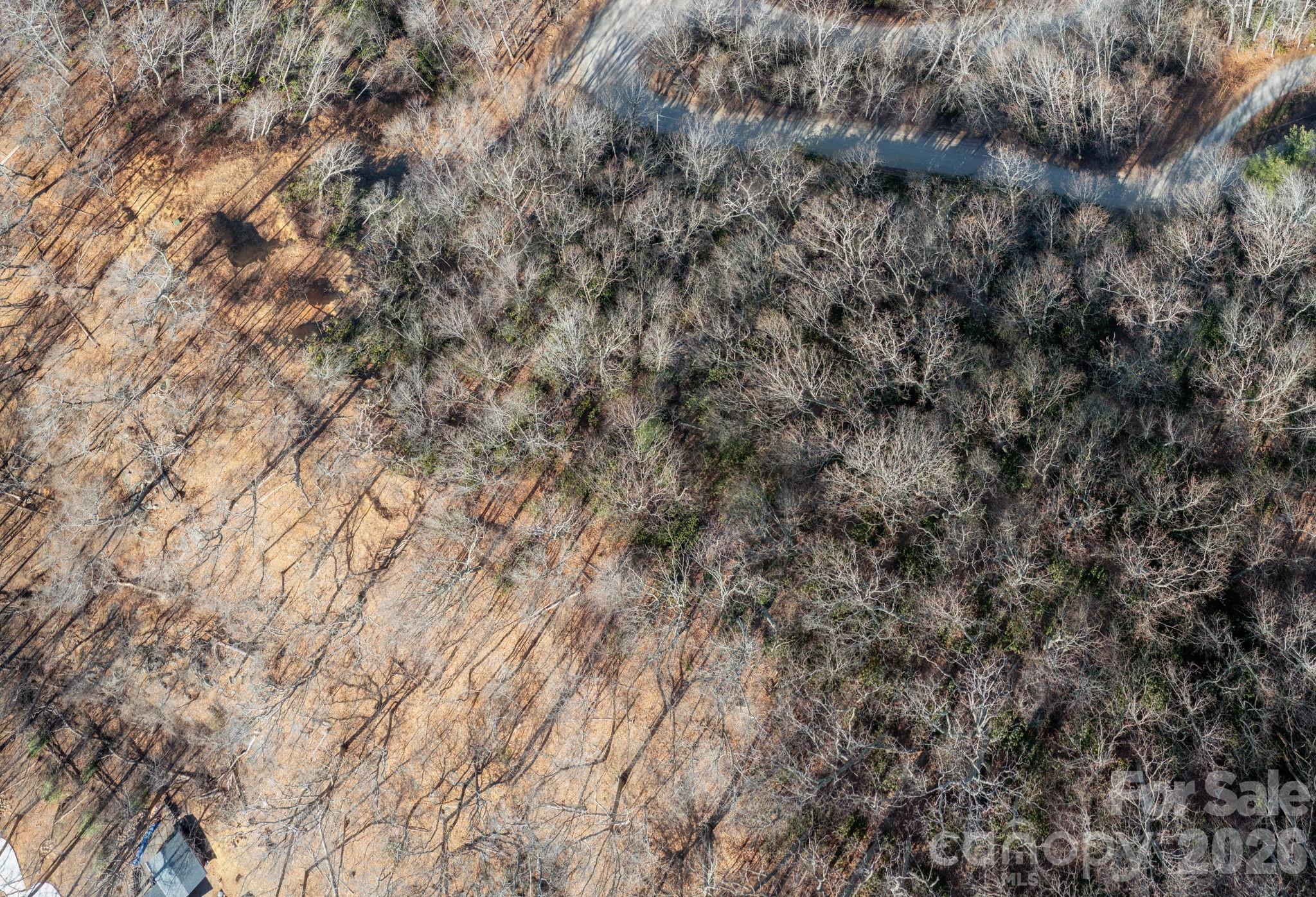 0 Bee Tree Road, Unit 103B Swannanoa, NC 28778 - Photo 9 of 20