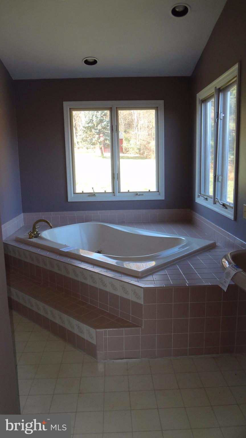5235 Mt Zion Road Frederick, MD 21703 - Photo 14 of 24 Bath (Master)