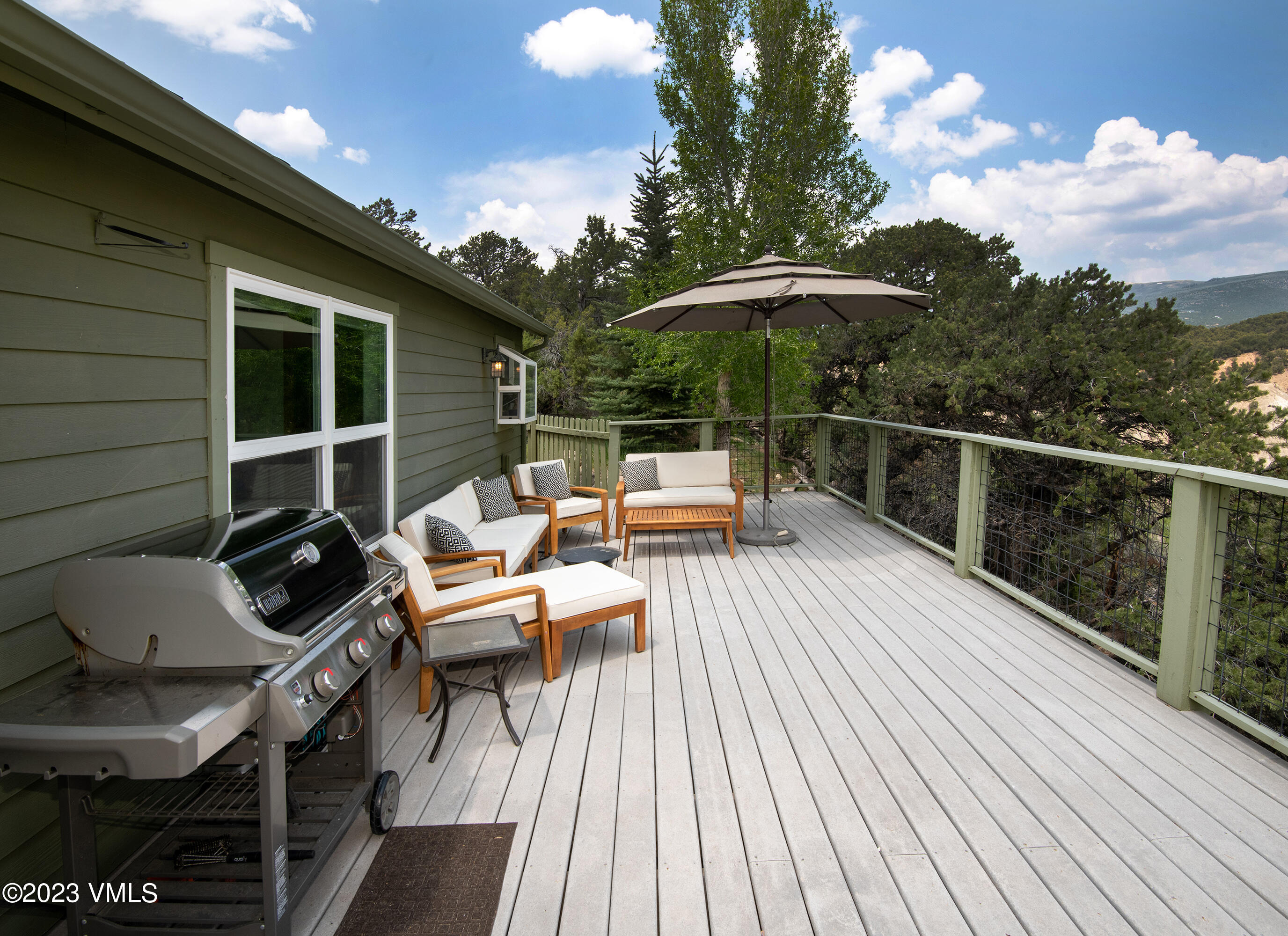 686 Mesa Drive Eagle, CO 81631 - Photo 18 of 73 Welcome Home