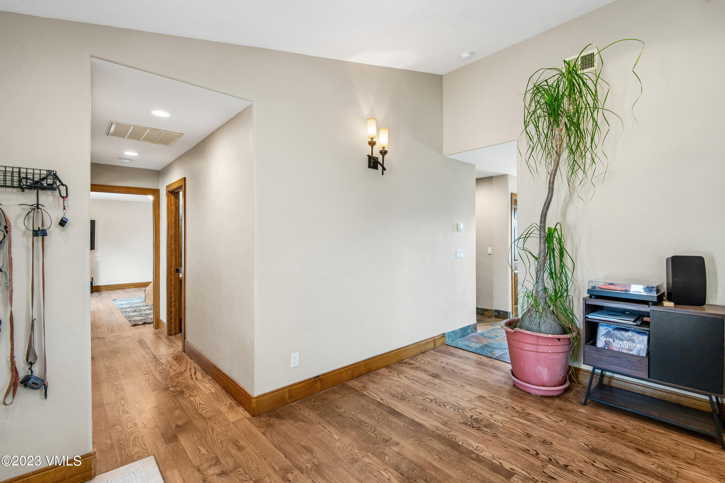 686 Mesa Drive Eagle, CO 81631 - Photo 23 of 73 a living room with furniture and a potted plant