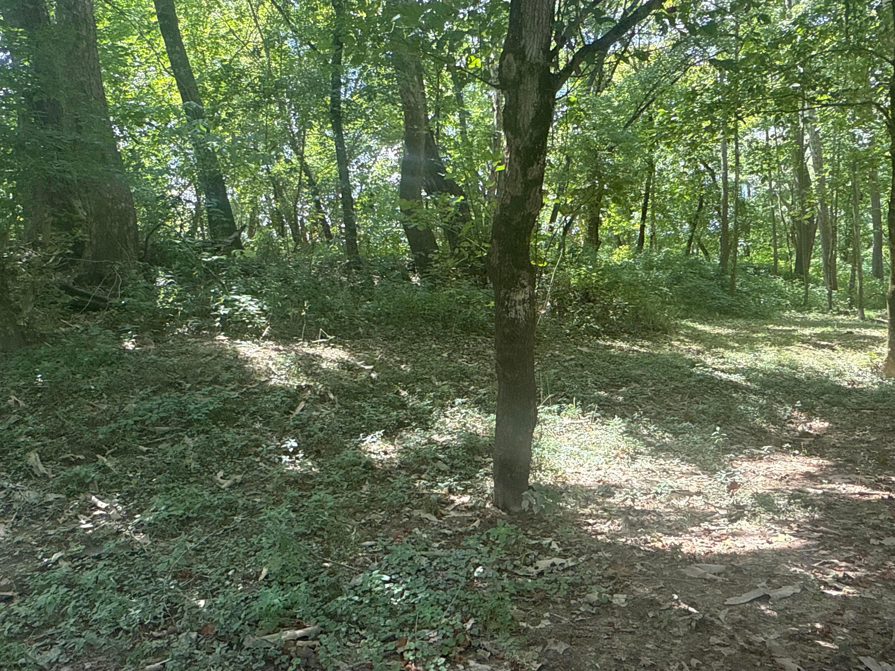 0 Lemaster Road Athens, OH 45701 - Photo 34 of 56