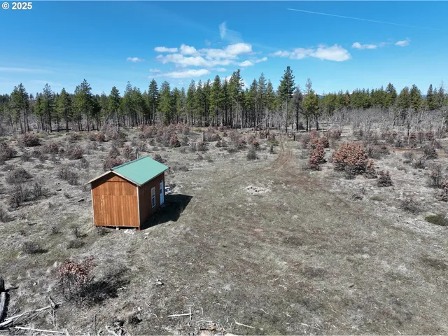 a view of a dry yard