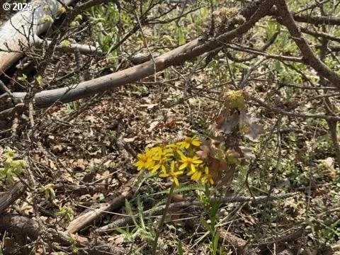 $90,000 | 15 Sutherland Trail, Goldendale, WA 98620