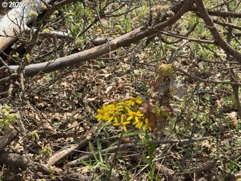 15 Sutherland Trail Goldendale, WA 98620 - Photo 12 of 12