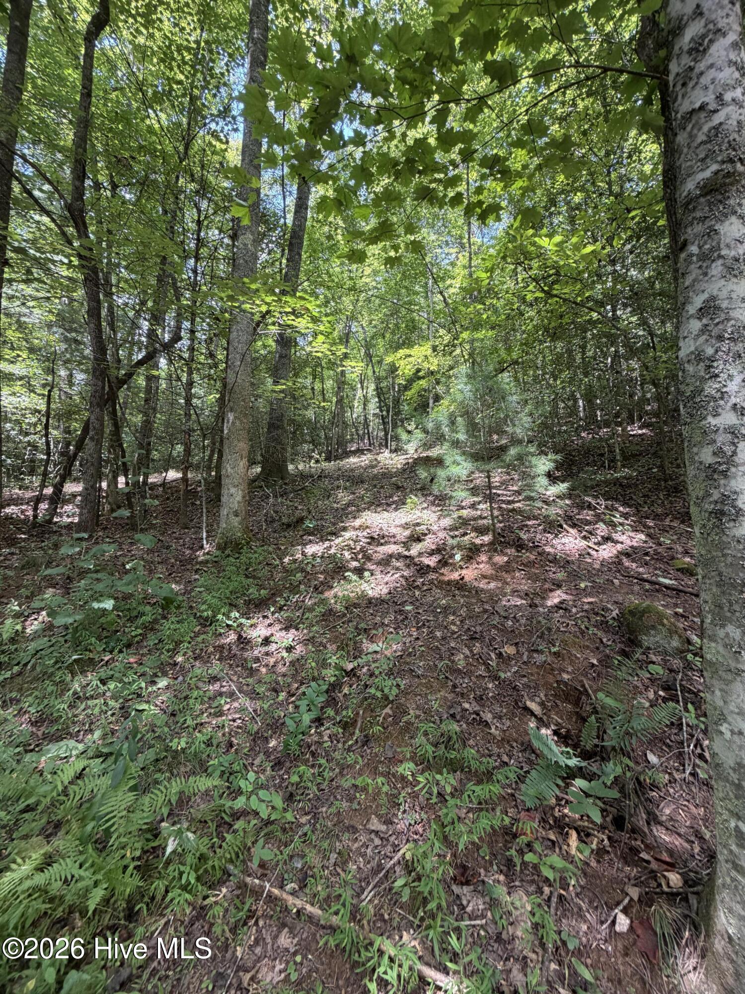 5.85-ac Emory Shield Road Murphy, NC 28906 - Photo 15 of 19 Gallery Image 15