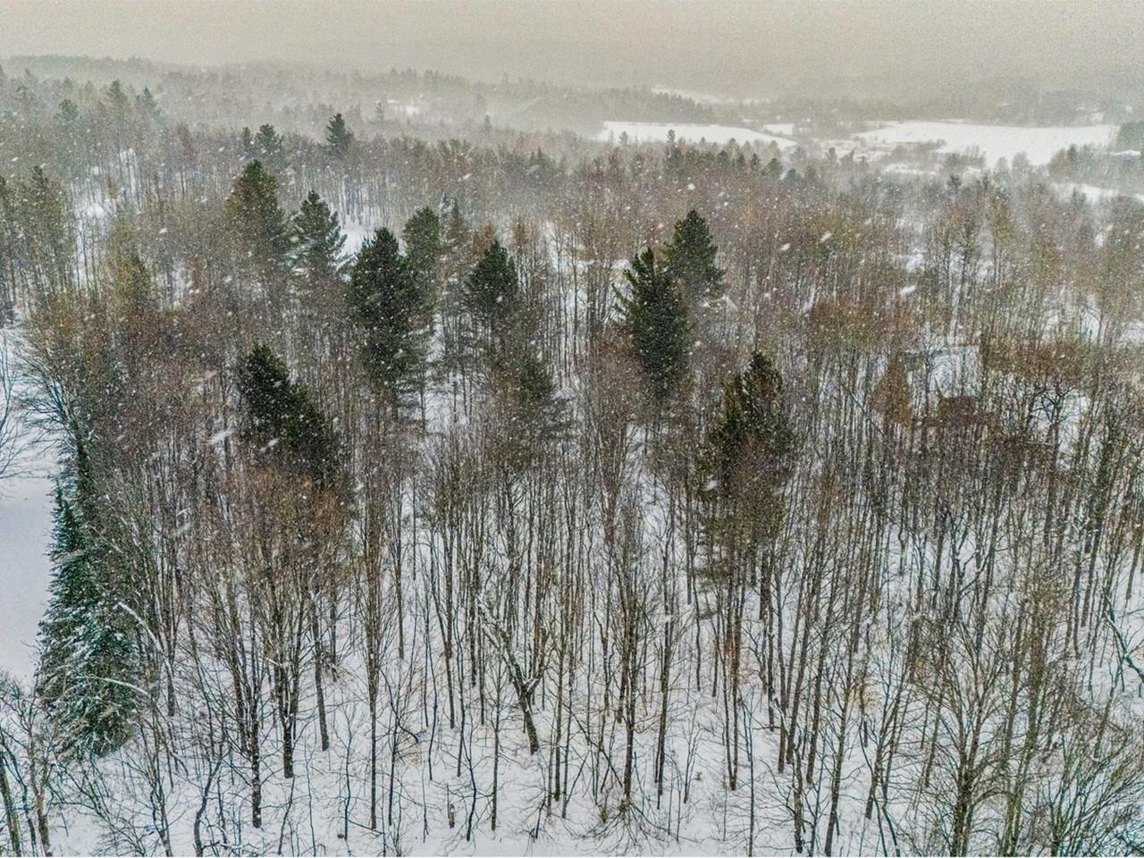 0 Belle Vista Road, Unit LOT 7 Jay, VT 05859 - Photo 3 of 16