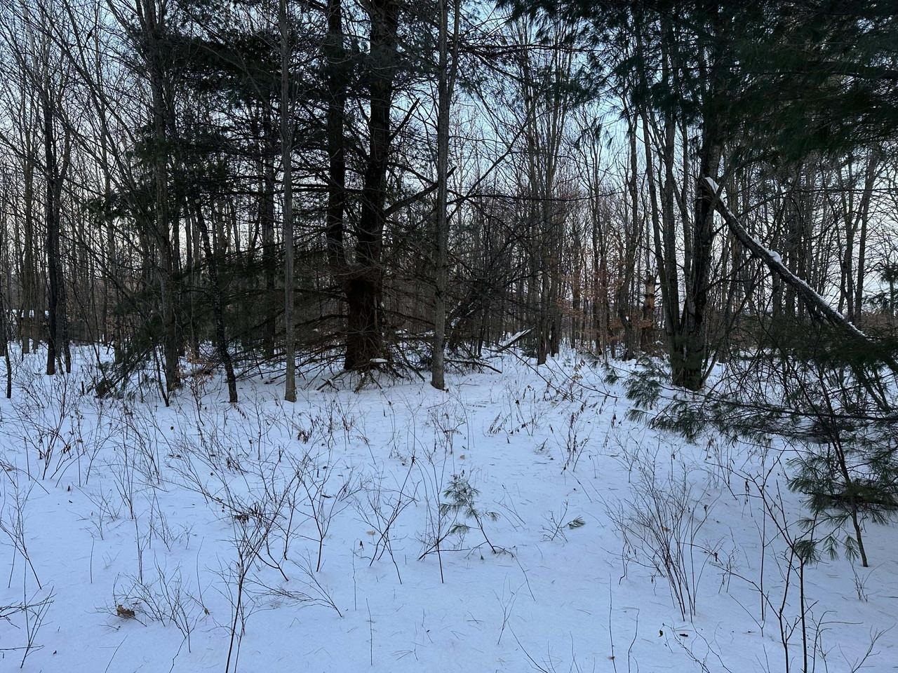 0 Belle Vista Road, Unit LOT 7 Jay, VT 05859 - Photo 4 of 16