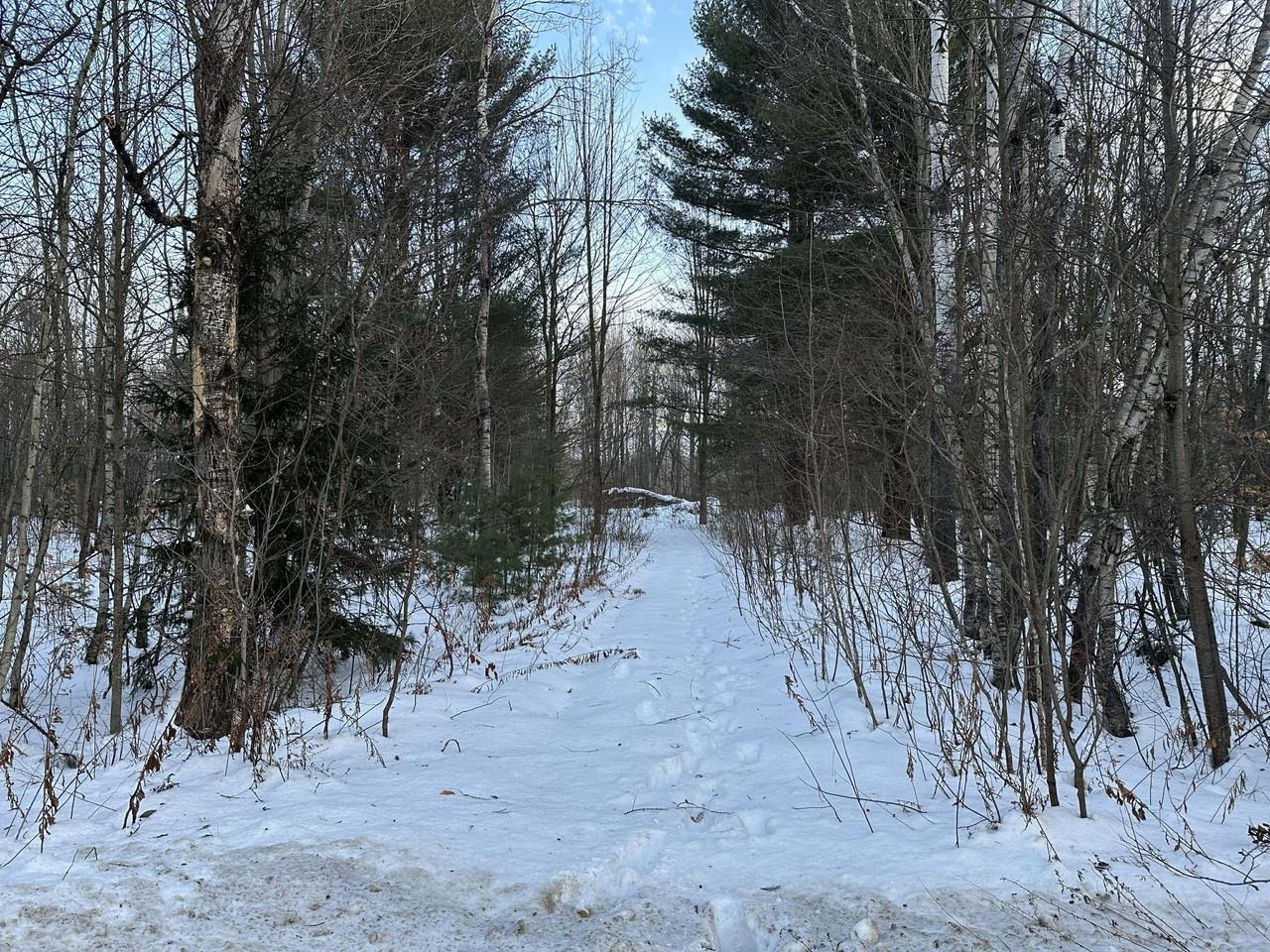 0 Belle Vista Road, Unit LOT 7 Jay, VT 05859 - Photo 6 of 16