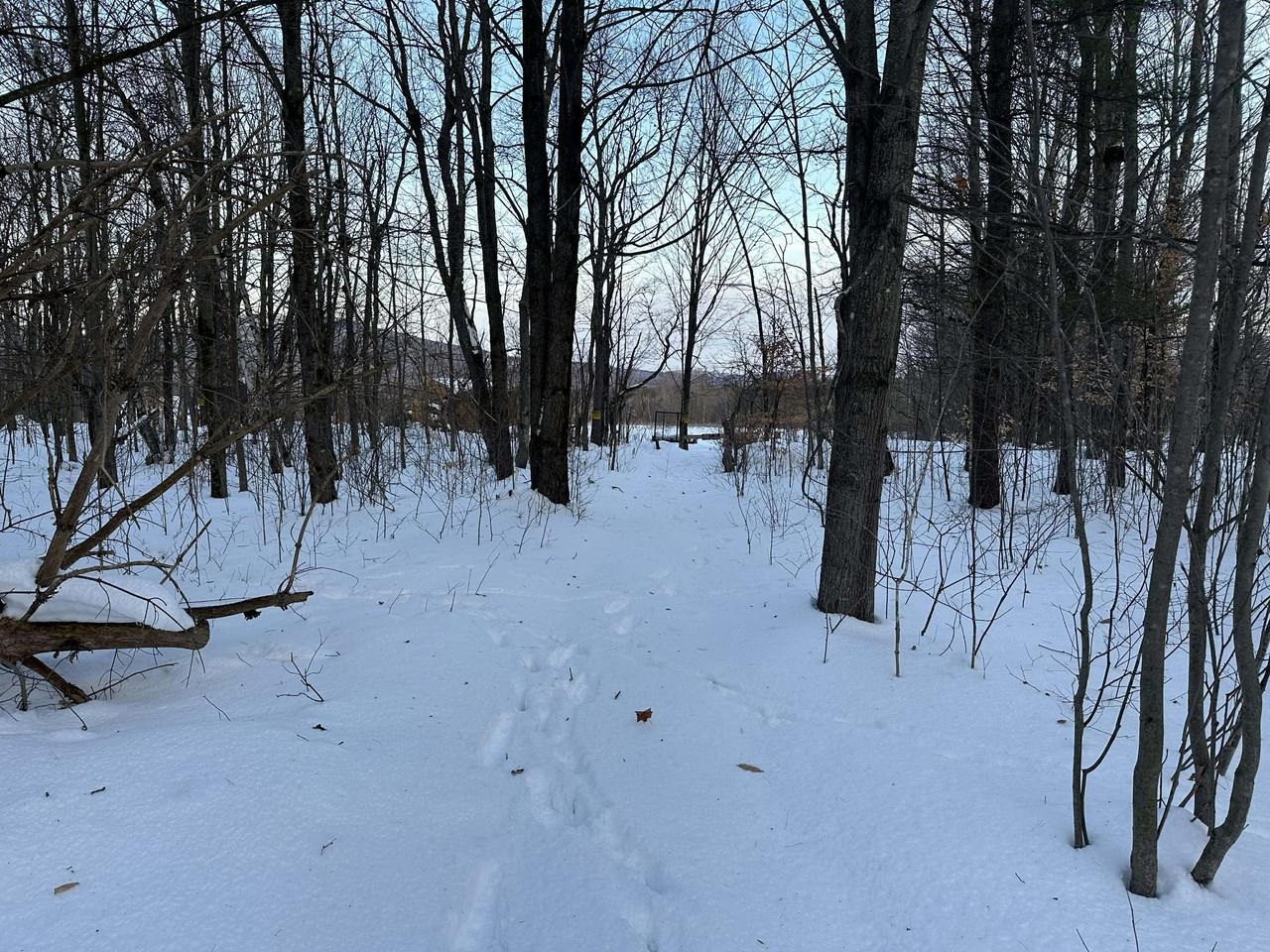 0 Belle Vista Road, Unit LOT 7 Jay, VT 05859 - Photo 7 of 16