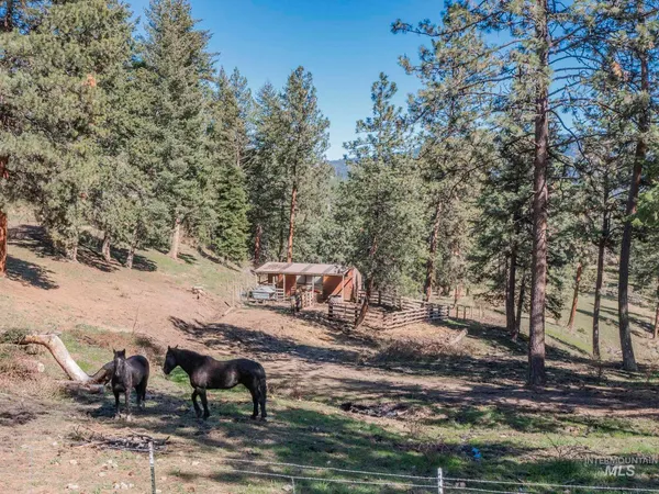 $499,000 | 77 Poplar Drive, Grangeville, ID 83530