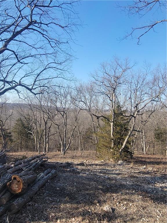 33 East Ridgewood Circle Linn Valley, KS 66040 - Photo 1 of 6