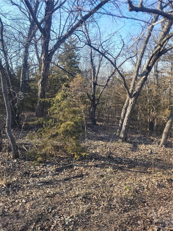 33 East Ridgewood Circle Linn Valley, KS 66040 - Photo 2 of 5