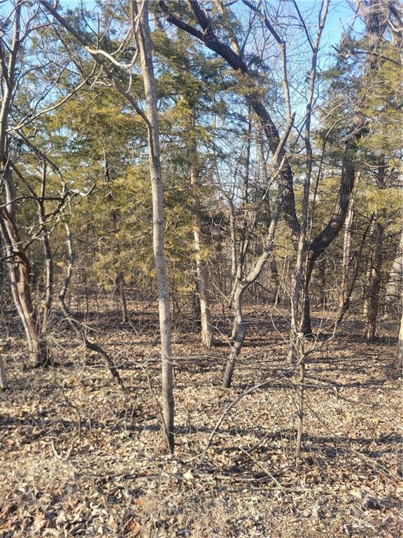 33 East Ridgewood Circle Linn Valley, KS 66040 - Photo 2 of 6