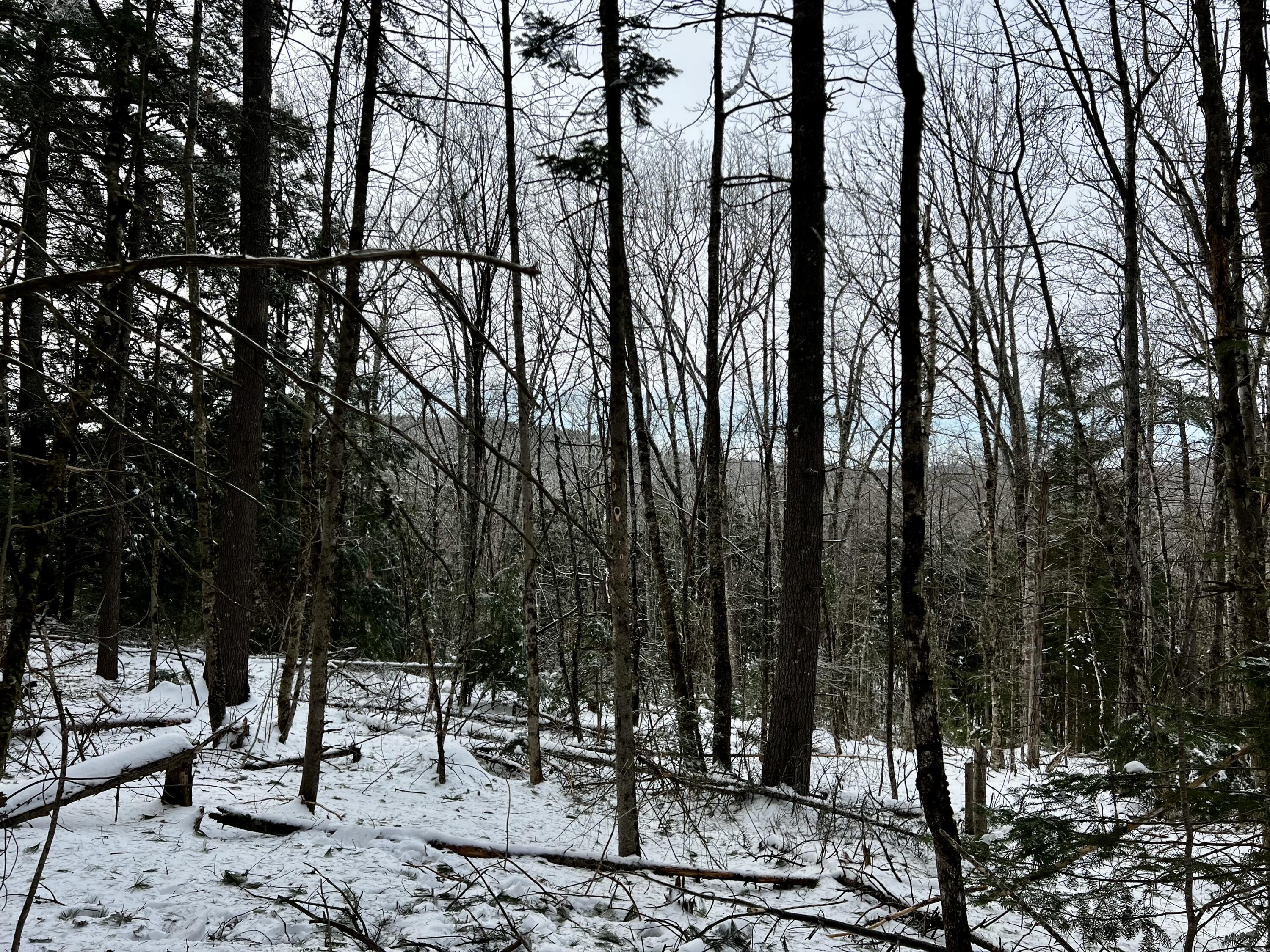 Lot 9 A Ridge Liberty, ME 04949 - Photo 10 of 11 IMG_9152