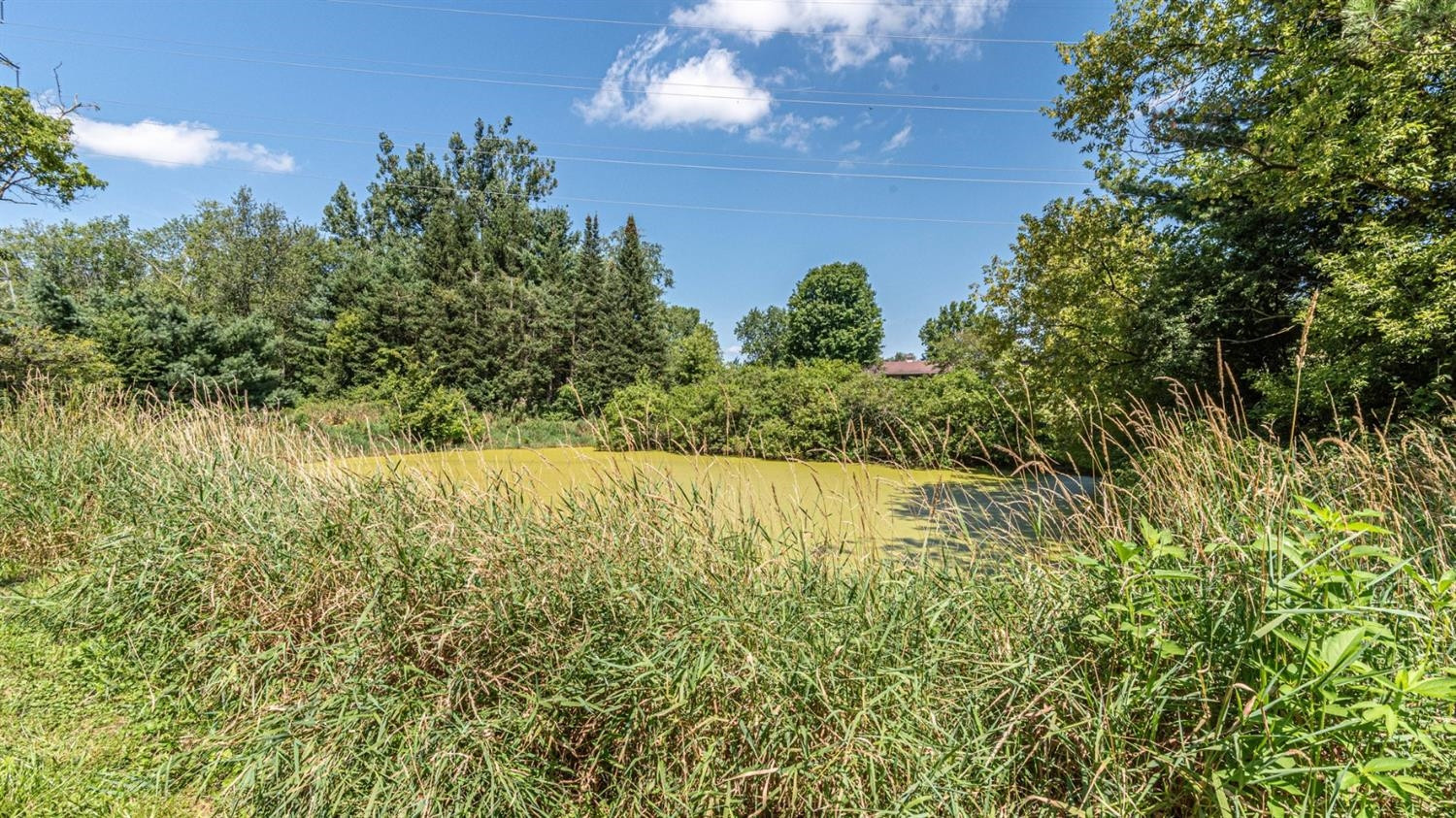 8220 Warner Road Saline, MI 48176 - Photo 60 of 69 Photo 60
