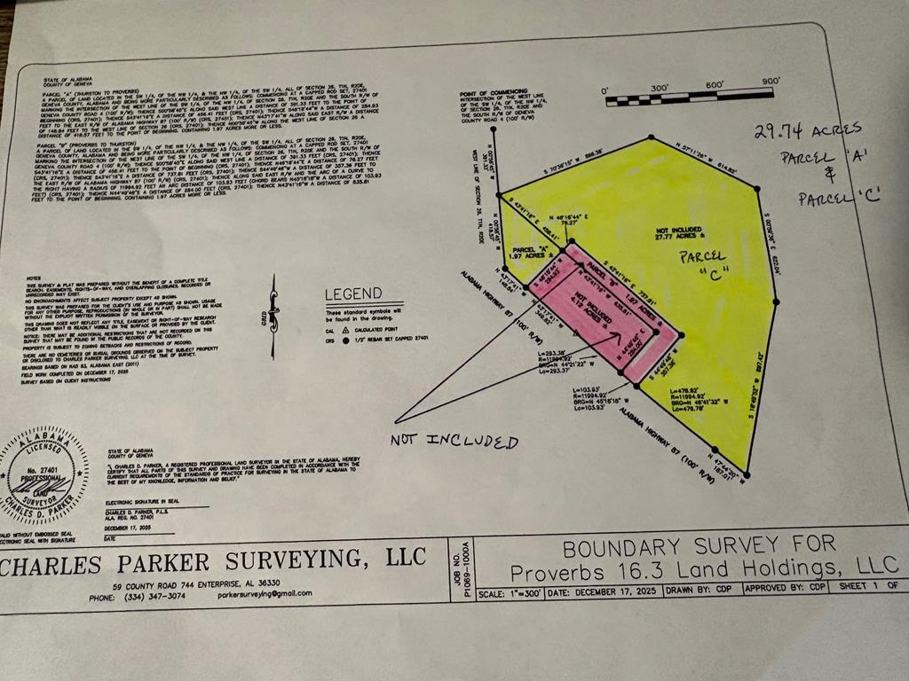 87 Highway 87 Samson, AL 36477 - Photo 47 of 47
