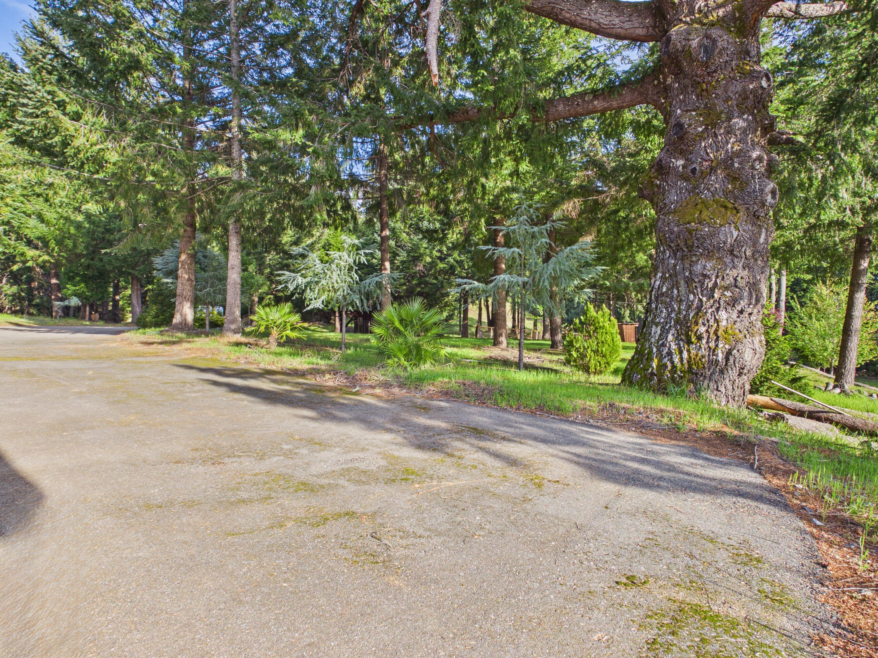 0 Fisher Road Petrolia, CA 95545 - Photo 82 of 96
