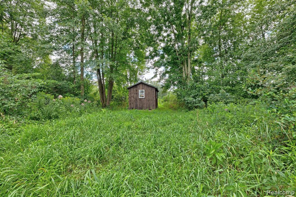 8910 Petz Road Imlay City, MI 48444 - Photo 37 of 62