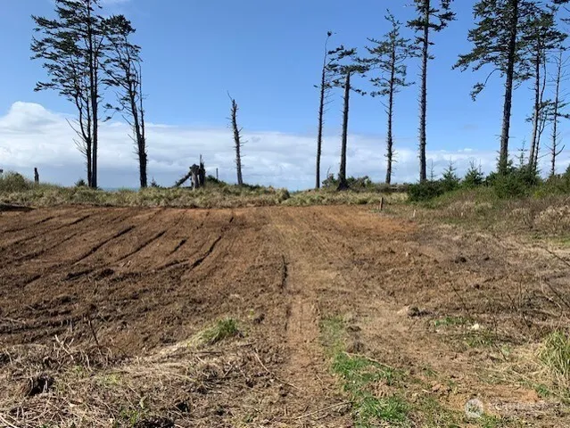 $724,000 | 58 Chauncey Lane, Pacific Beach, WA 98571