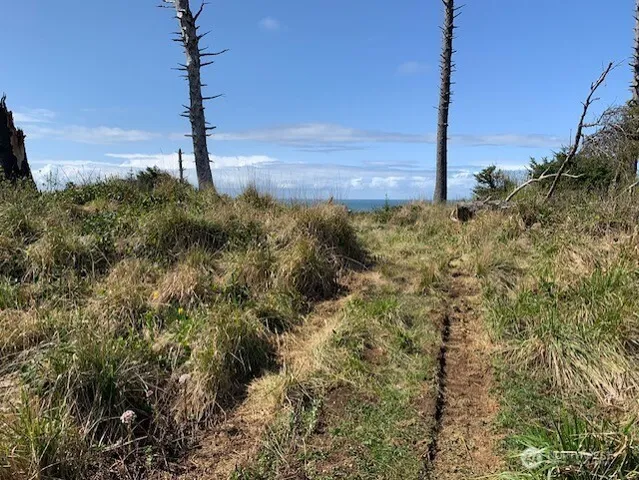 $724,000 | 58 Chauncey Lane, Pacific Beach, WA 98571