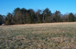 271 Clarktown Road Bardstown, KY 40004 - Photo 1 of 1 Primary Photo