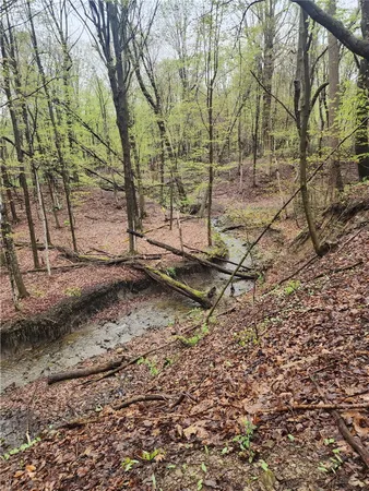 $136,800 | 5200 County Road 33, Bristol, NY 14424