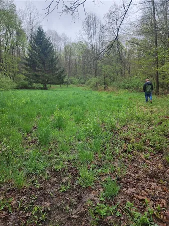 $136,800 | 5200 County Road 33, Bristol, NY 14424