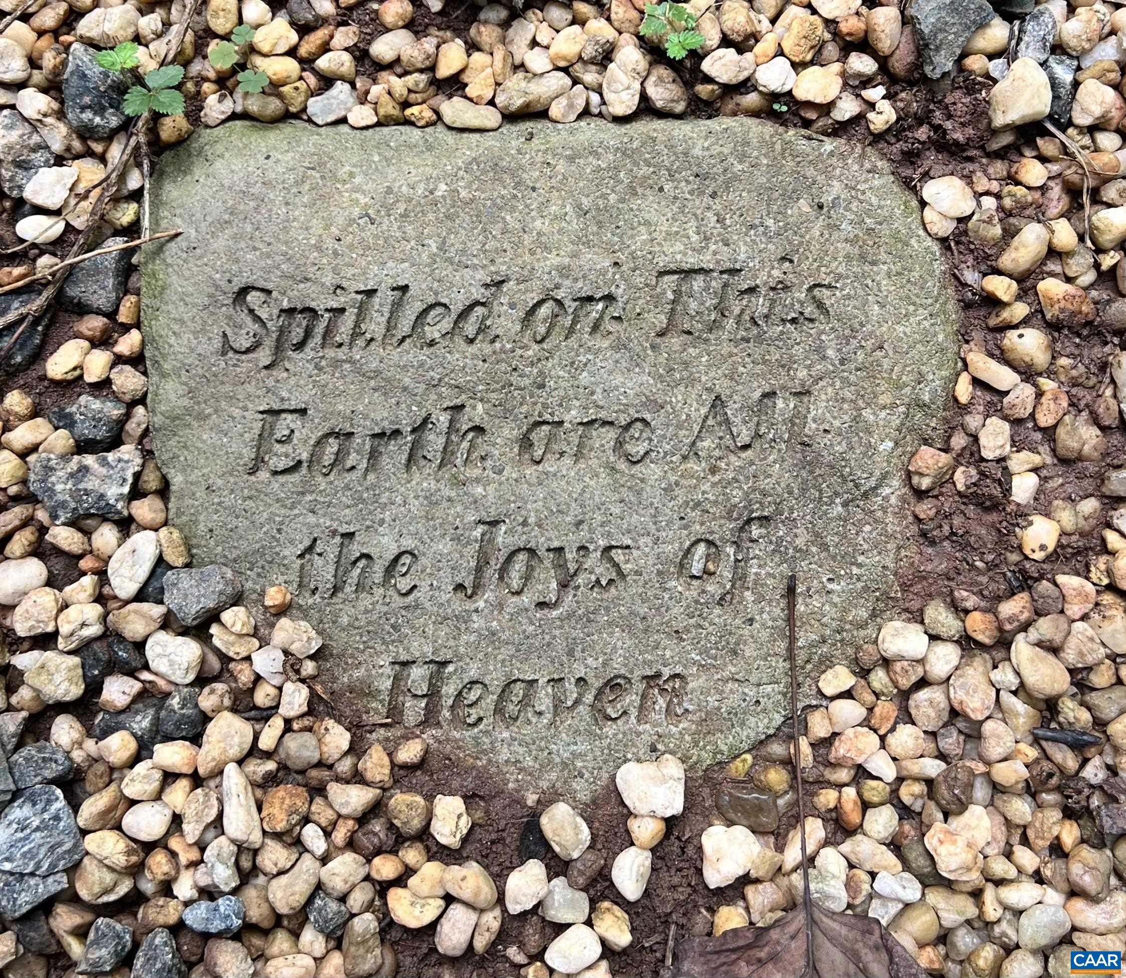 305 Cedar Bluff Road Charlottesville, VA 22901 - Photo 37 of 37