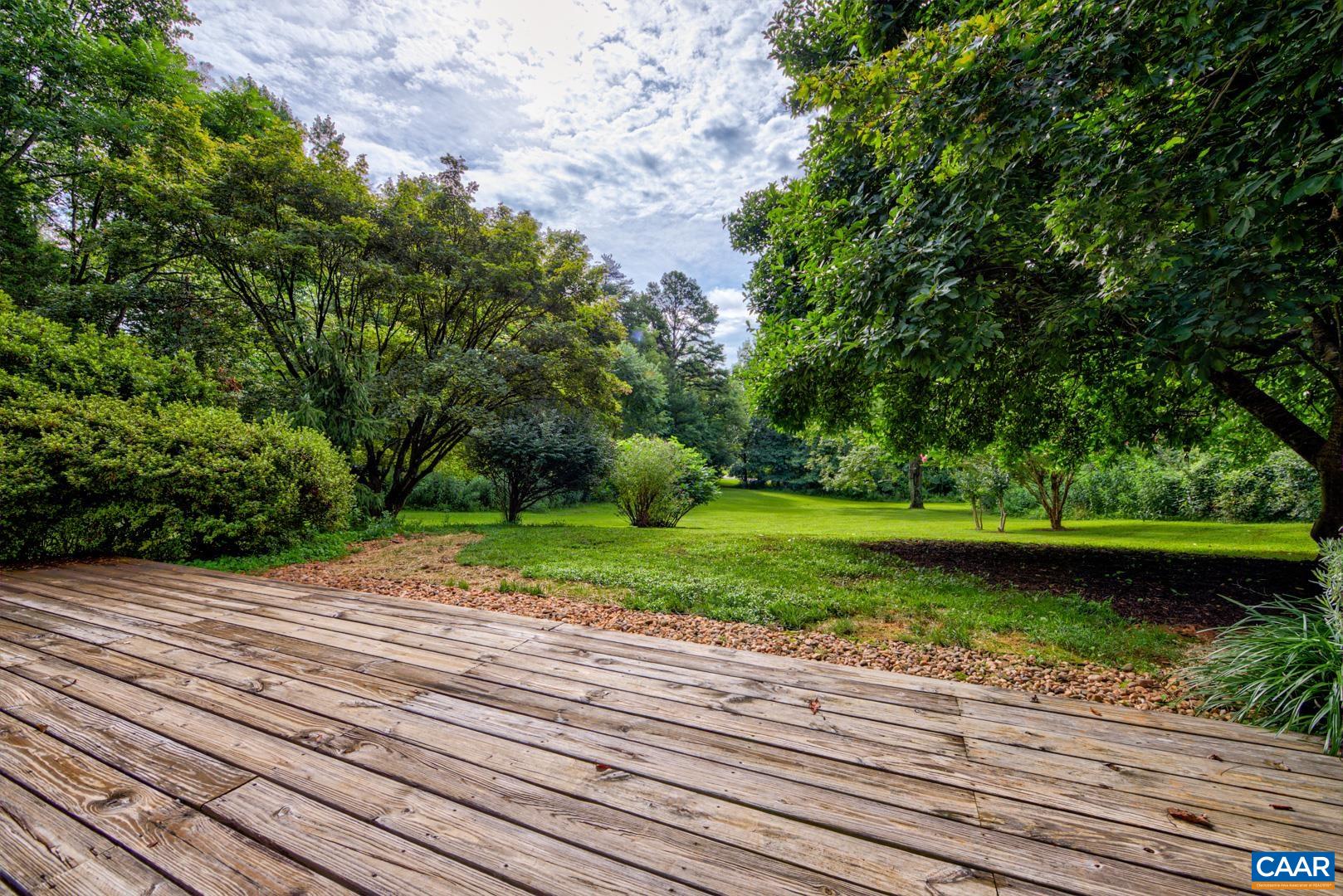 305 Cedar Bluff Road Charlottesville, VA 22901 - Photo 8 of 37 a view of a yard with plants and large trees