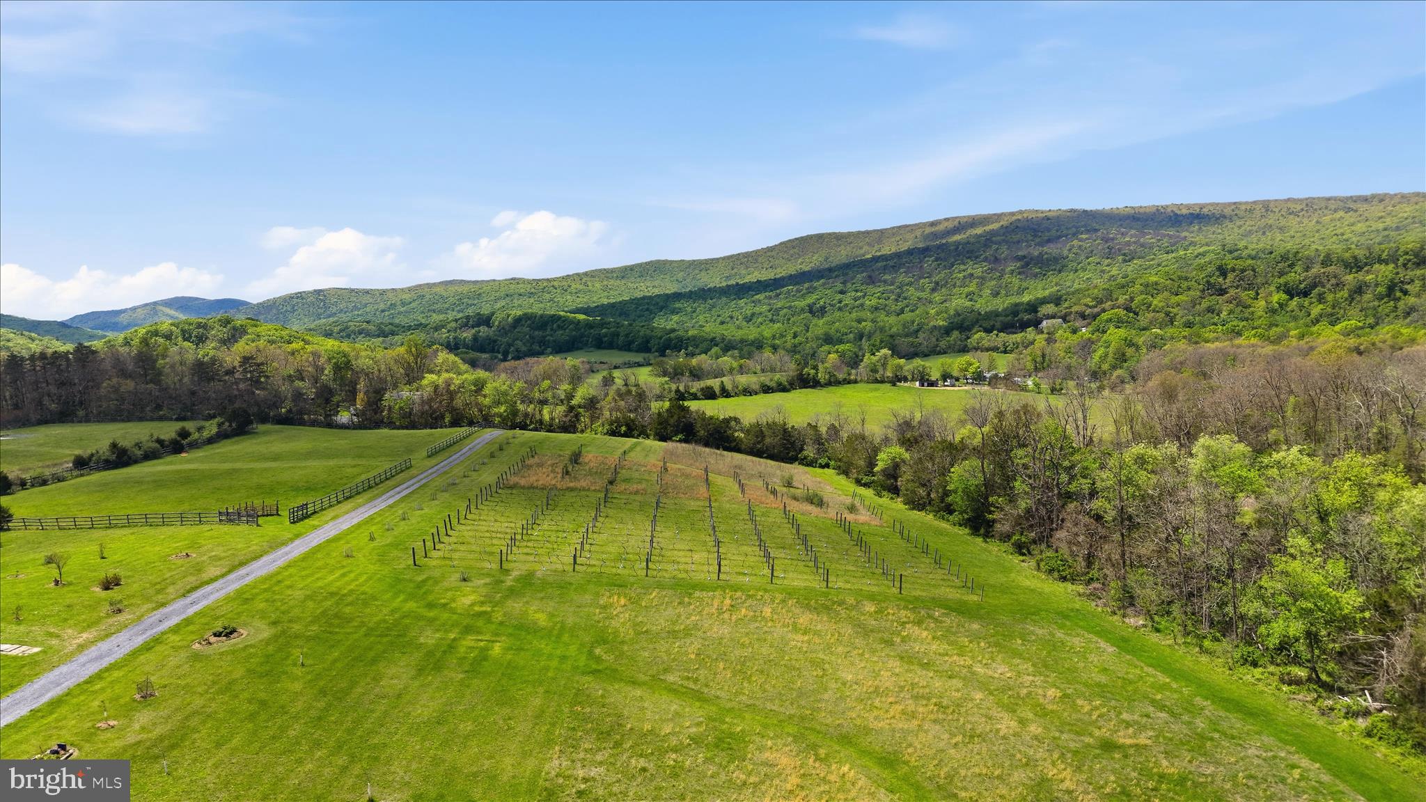 2121 South Pifer Road Star Tannery, VA 22654 - Photo 117 of 127 Aerial View