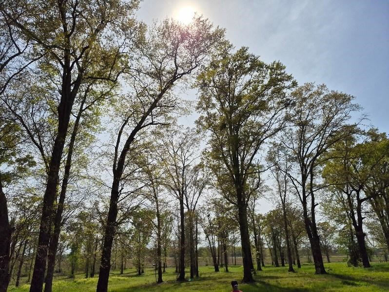 2154 J East Saunders Road Dothan, AL 36301 - Photo 10 of 15