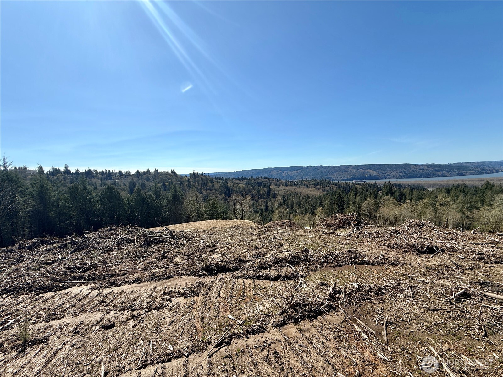 560 Kool Road Kelso, WA 98626 - Photo 10 of 26 a view of a dry yard with trees