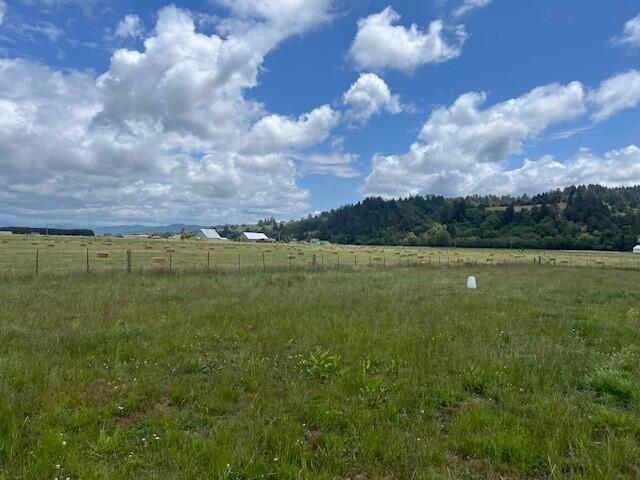 477 Crosby Road Ferndale, CA 95536 - Photo 17 of 19 a view of a lake with a big yard