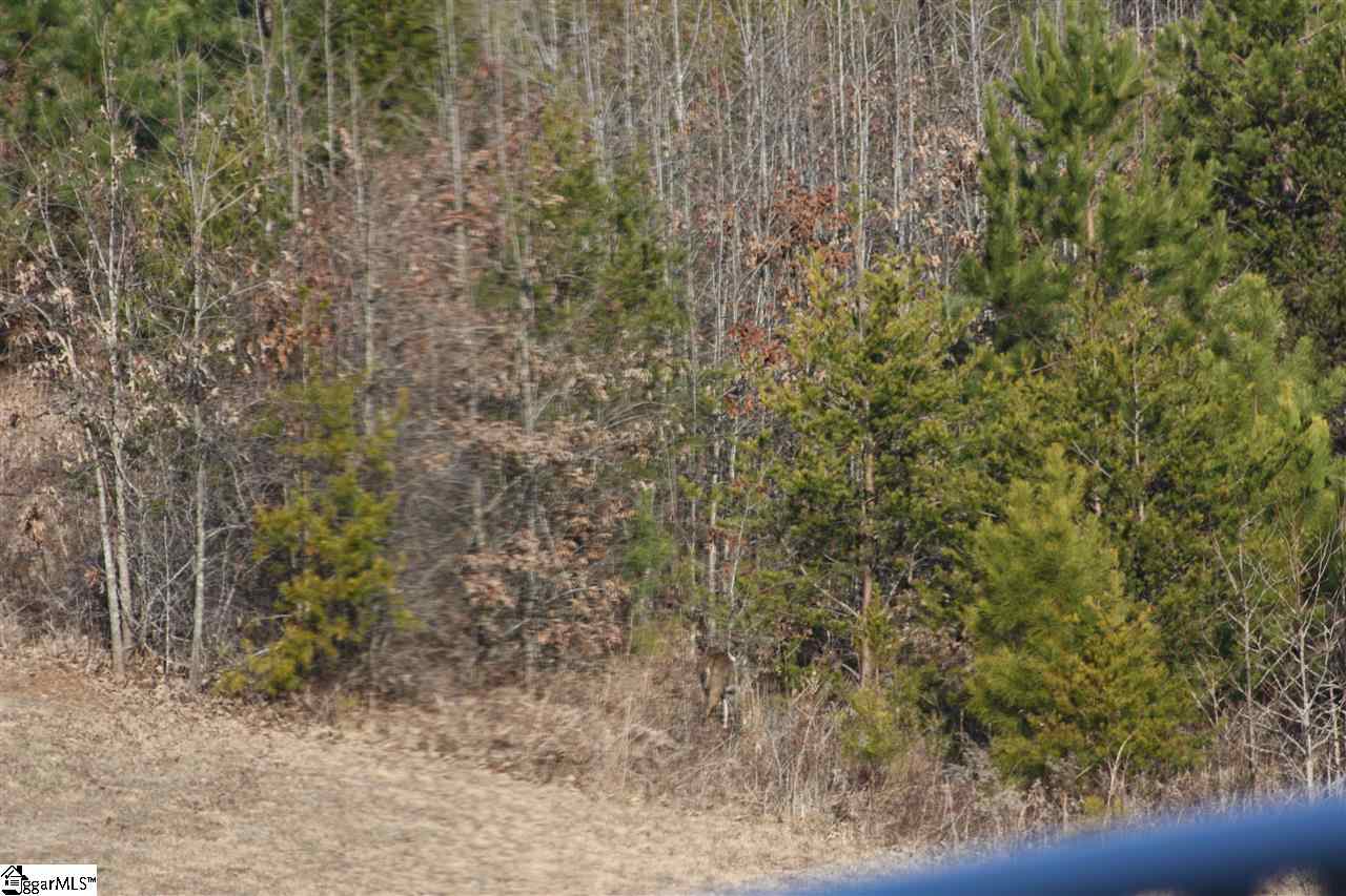 River Road Woodruff, SC 29388 - Photo 1 of 1