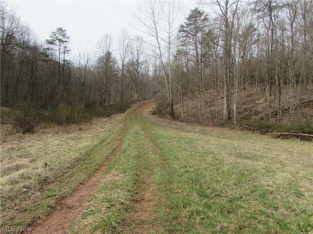 Round Stone Rd Street St. Marys, WV 26170 - Photo 3 of 14