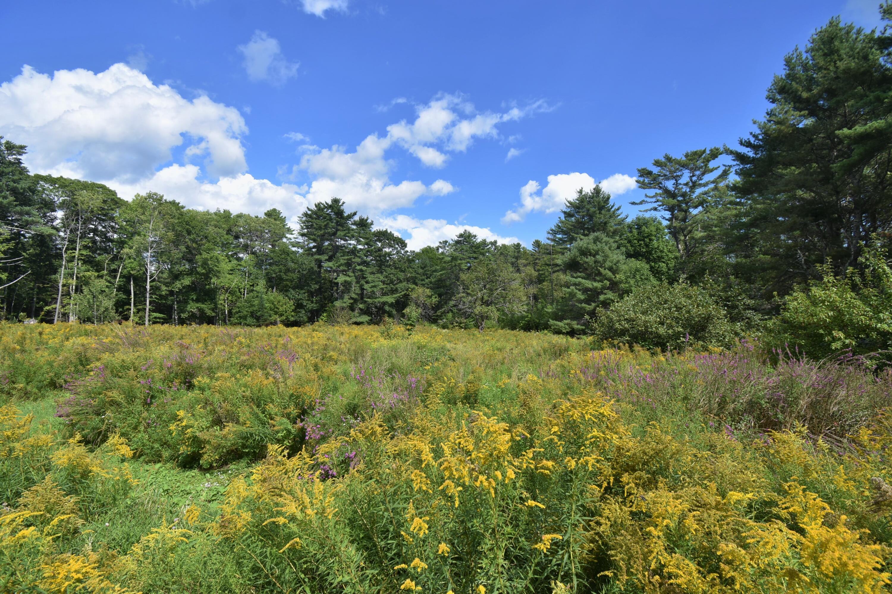 870 Boothbay Road Edgecomb, ME 04556 - Photo 62 of 65 DSC_6408