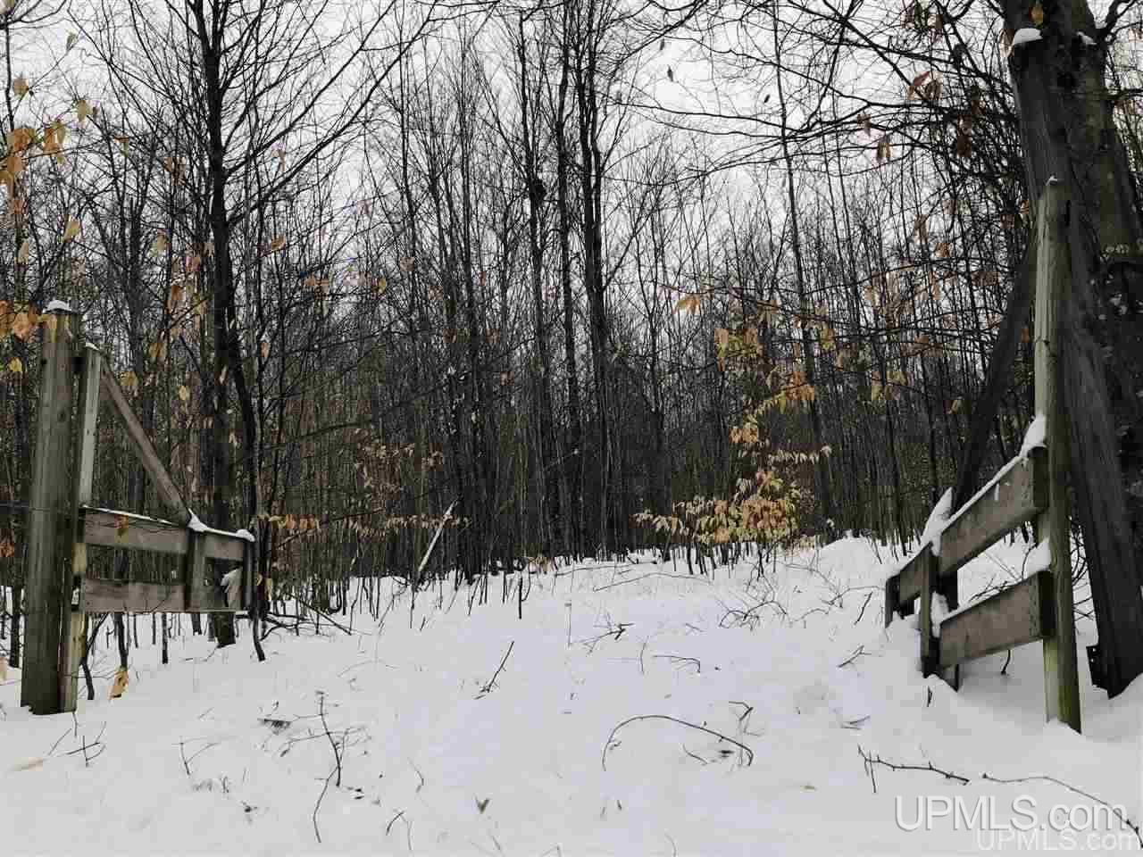 Tbd East Edge Road Germfask, MI 49836 - Photo 1 of 5