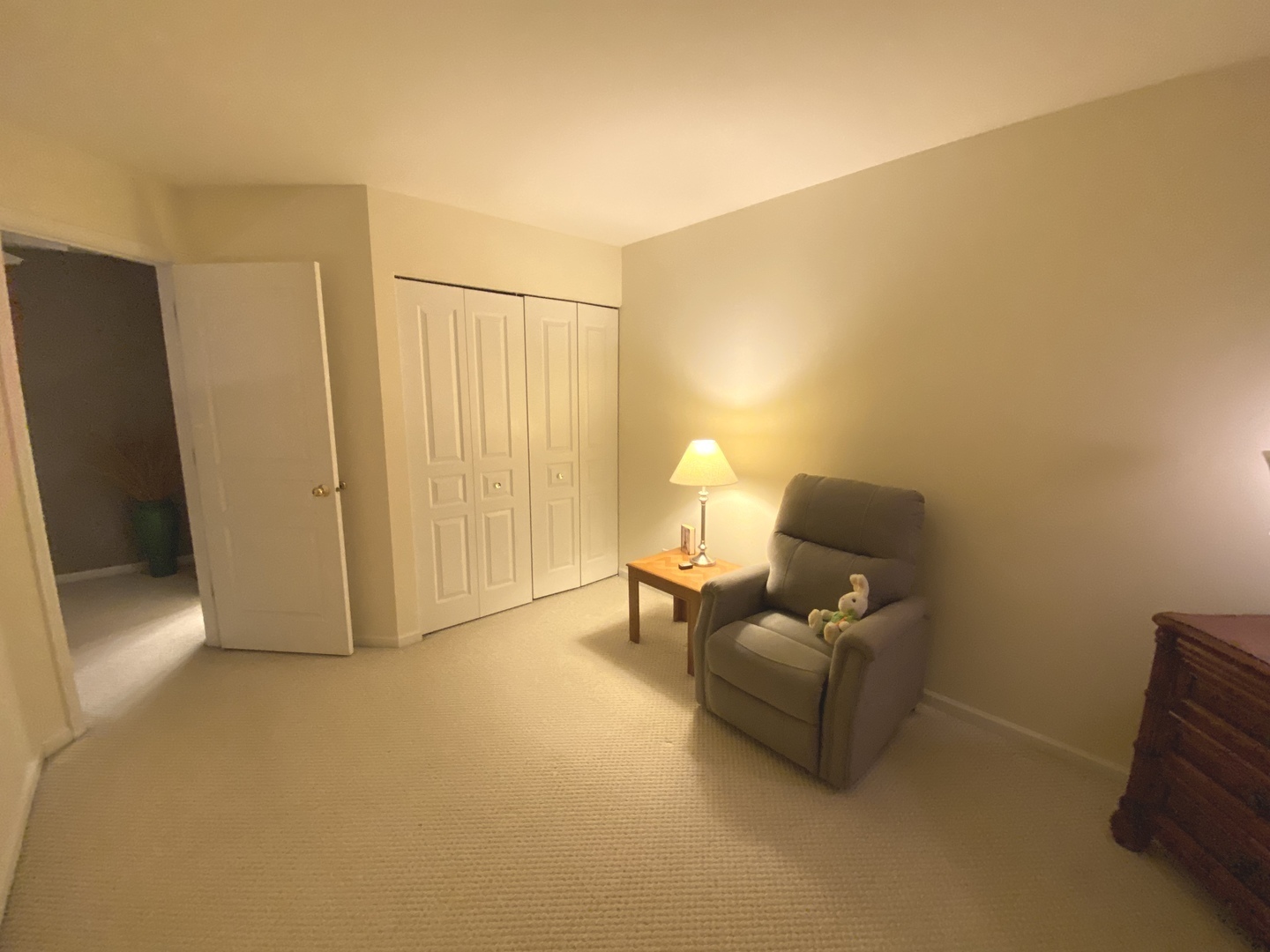 418 Cardinal Drive Bartlett, IL 60103 - Photo 22 of 29 a living room with furniture and a walk in closet with wooden floor