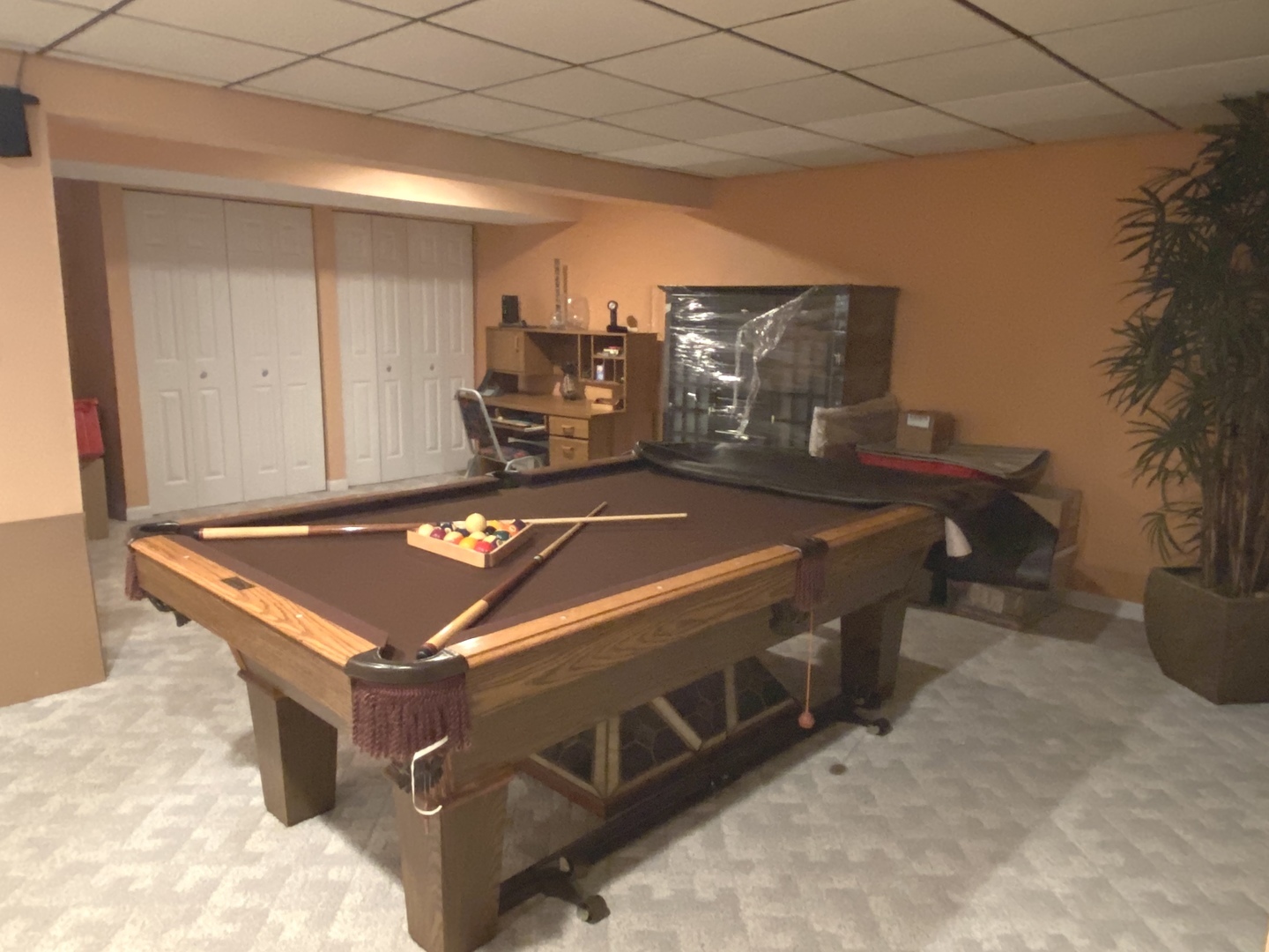 418 Cardinal Drive Bartlett, IL 60103 - Photo 24 of 29 a room with pool table and potted plants