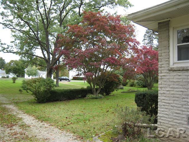 11891 Tecumseh Macon Road Clinton, MI 49236 - Photo 18 of 20 31362705-17.JPG