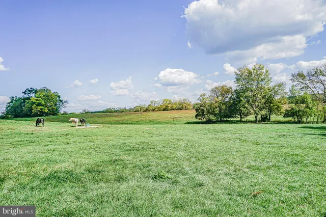 $2,995,000 | 3460 Big Woods Road, Ijamsville, MD 21754