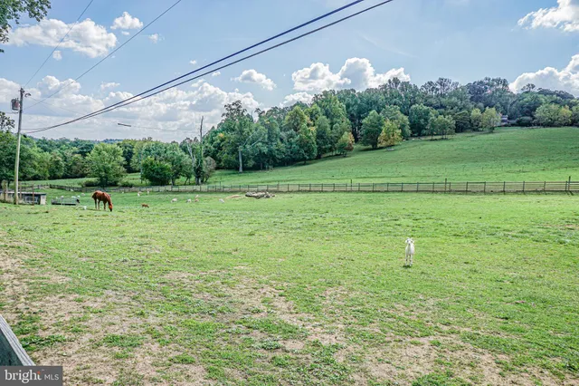 $2,995,000 | 3460 Big Woods Road, Ijamsville, MD 21754