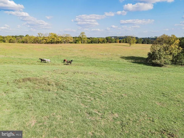 $2,995,000 | 3460 Big Woods Road, Ijamsville, MD 21754