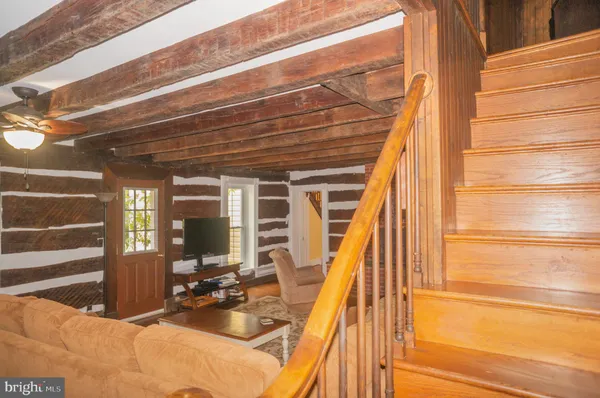 a view of a park with large trees