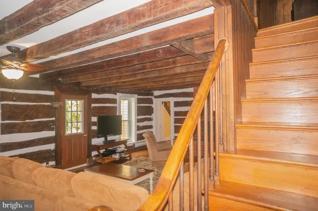 a view of a park with large trees