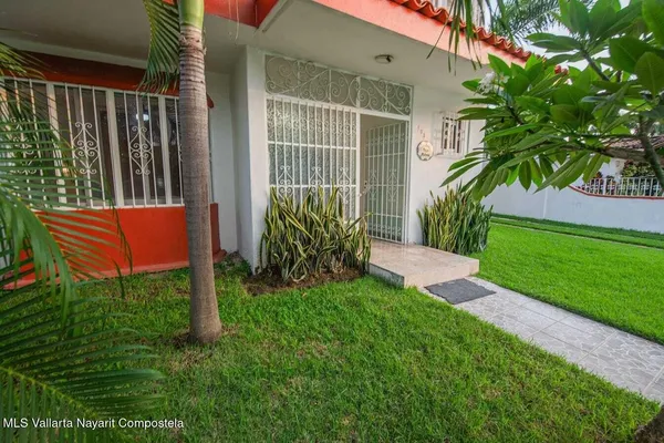 a view of a backyard with plants