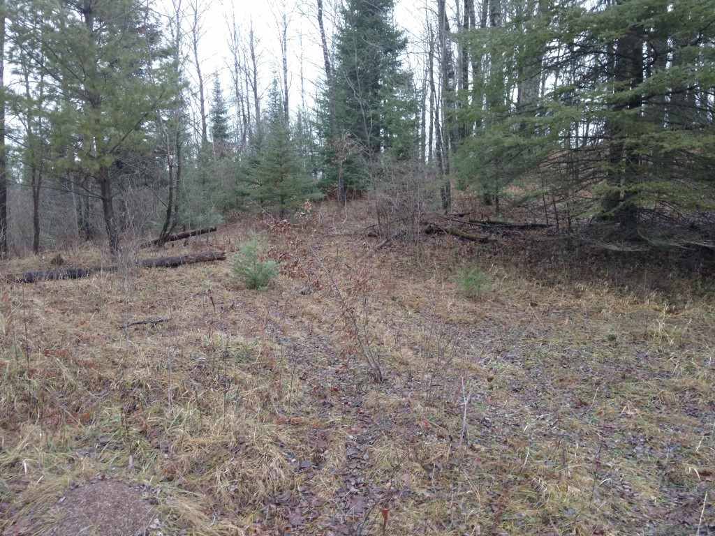 On High Bridge Trail Phillips, WI 54555 - Photo 1 of 1